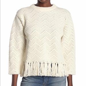 Joie Fringe Sweater
